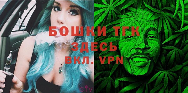 твердый Инта