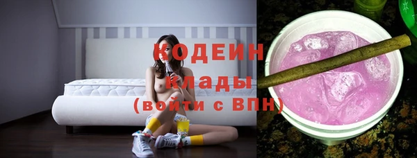 твердый Инта