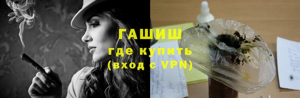 твердый Инта