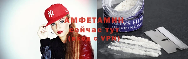твердый Инта