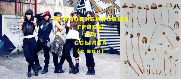 прущий лед Инсар