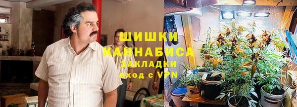 прущий лед Инсар