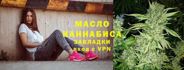 твердый Инта