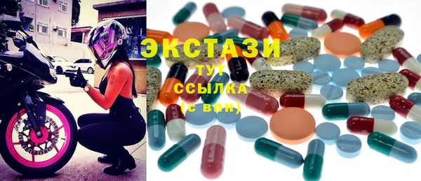 твердый Инта