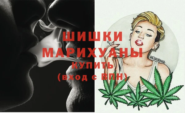 мдпв Каменногорск