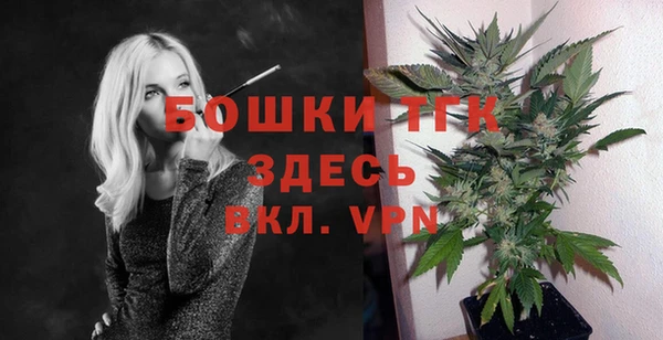 твердый Каменск-Шахтинский