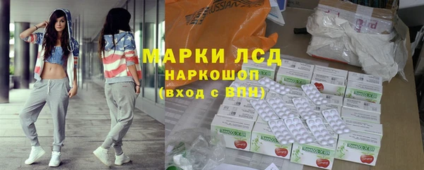 прущий лед Инсар