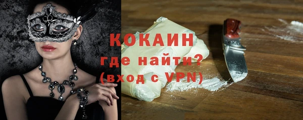 мдпв Каменногорск